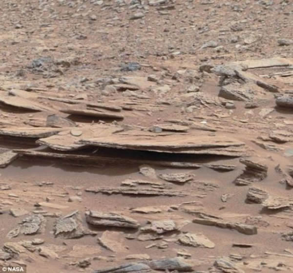 �Ƕ��ɿӵ�ҳ�ҡ�Ŀǰ�������桱������������Ҳ�����о�