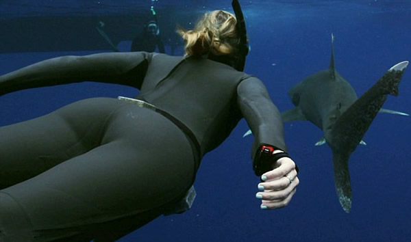自然资源保护者与白鳍鲨在海中共舞