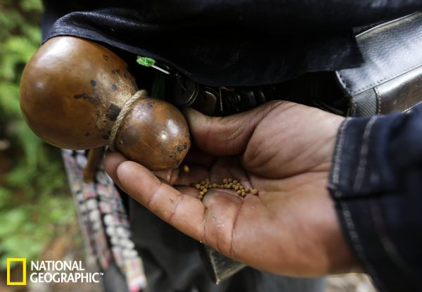 探访中国唯一持枪村落:贵州省岜沙村