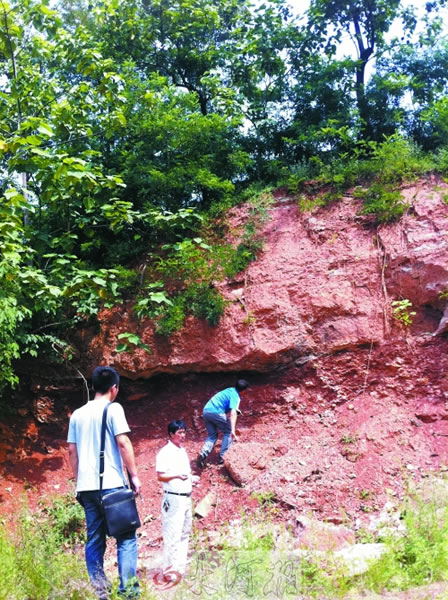 杨现(中)带记者找到“云梦龙”发现地