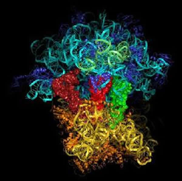 ����ѧ���״�ֱ�Ӳ������»���