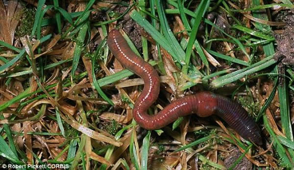 ӢԼ˴ѧ׶ѧĿѧҷе΢Сʯܹűʱ¶ȵġ䡱ͨоĻʯͲԷڷʯĲ¶ȣѧ