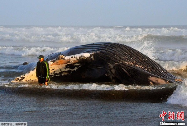 ��³��̲15�׳���ͷ����ǳ