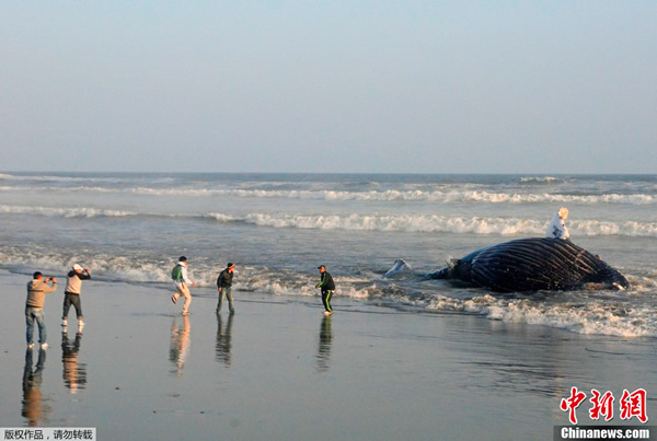 ��³��̲15�׳���ͷ����ǳ