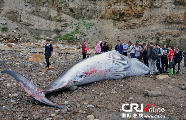 Ӣ��Լ�˿�˹�����޺�̲����С�뾨ʬ��