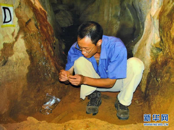 这是广西博物馆王頠研究员在么会洞进行考古研究(2012年11月12日摄)