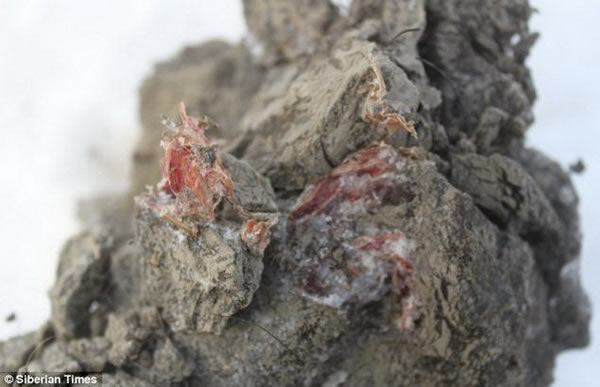 �����ʡ������Ａ����֯����