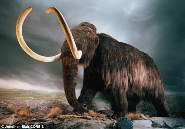 ��ѧ�ҷ����ƣ�����һ��������ײ������������ٱ仯���Ӷ������������ı���