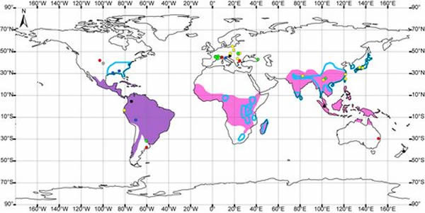 ʯľӵֲͼʯӣԲȦɫŽͣɫɫɫִӣɫߣɫ򡪾ȴӣɫ