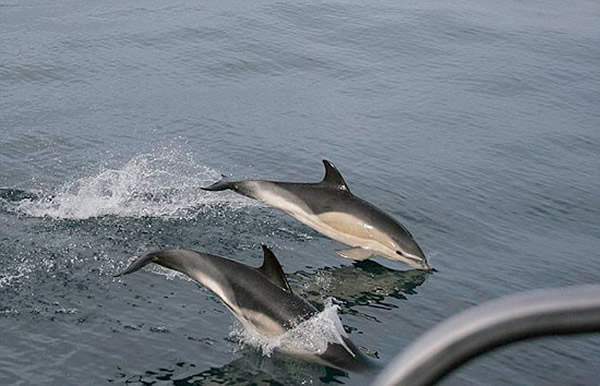 Ѱ㣡ĩȺʥ˿԰ټƵĺࡣ