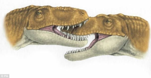 ͼչʾİѧΪһǿ֤ݣʾĲʳΪǰֵĻʯ֤ݡϵĺۼΪʳΪĽ