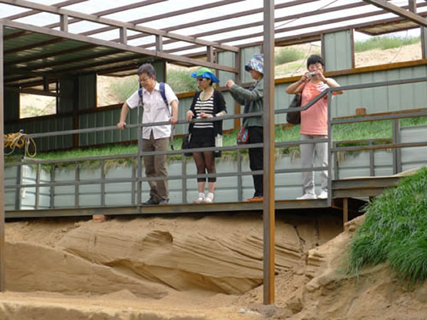 侯亚梅研究员陪同张兆群研究员以及同期到访的黑龙江省伊春文化局应敏副局长和铁力桃山林业局刘雅文副局长考察乌兰木伦遗址发掘现场