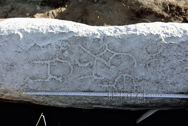 �����ѧ������Ա���ɹŶ���������8���͵�ͻ�ʱ��ġ�ͼΪ����ʯ���ϵĲ������¡�