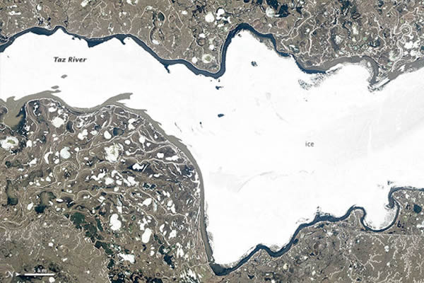 卫星照片展示俄罗斯塔兹河的融冰过程