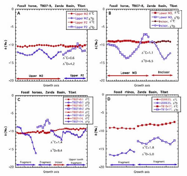 上新世中期札达盆地食草哺乳动物的釉质碳、氧同位素信号记录的季节性变化(邓涛供图)