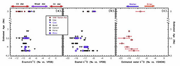 札达盆地约4.2百万年以来三趾马和披毛犀等哺乳动物以及现代食草动物和水体的碳、氧同位素组成(邓涛供图)