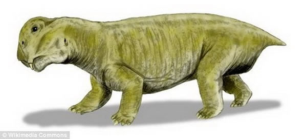 ͼ����ˮ���ޣ����������ִ�����¼���ˮ���޿���Ǳ���ڵ��¶�Ѩ��������Ӧ�µ����滷��