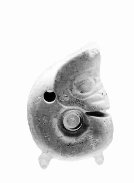 牛河梁神秘遗骨手握玉龟