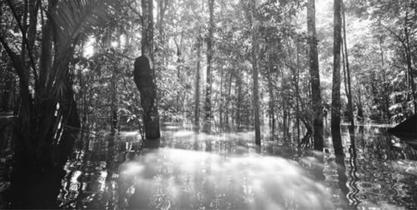 一个跨学科研究小组综合了亚马逊地区实地调查研究数据,以及综合数字存贮信息,旨在绘制出该地区的时空地图。