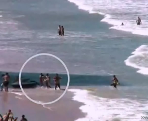 巴西少女溺水后又遭鲨鱼袭击身亡