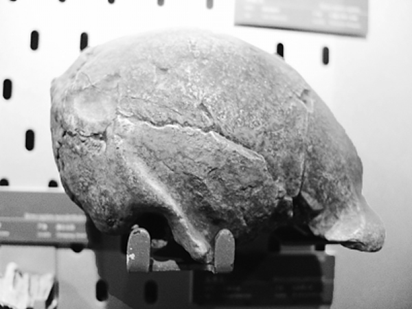 ������ͷ�ǹ�ģ������ĸ���Ʒ