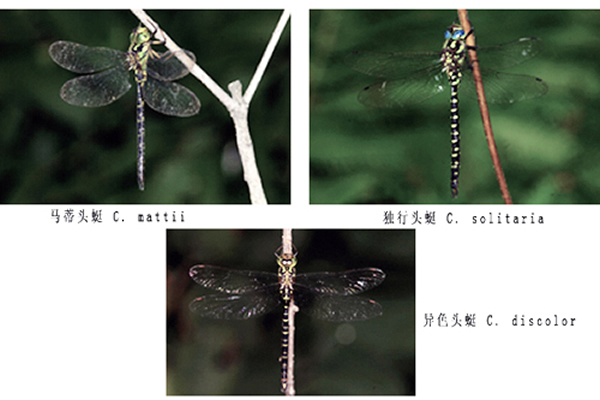 �й���ѧ�ҷ�������Ŀ��3������