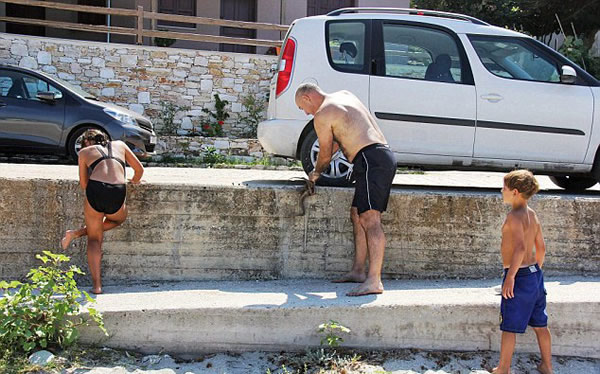 美国游客在希腊抓到罕见的六足章鱼