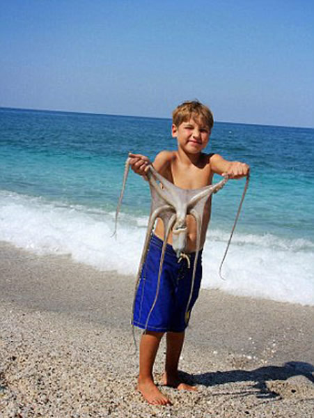 美国游客在希腊抓到罕见的六足章鱼