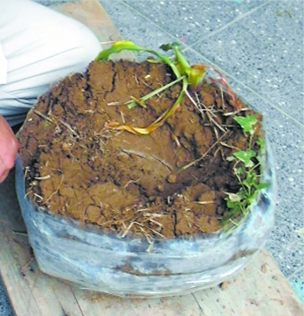 ɽ��ʡ�˳�����ʯ��������ҳ���ʯ��