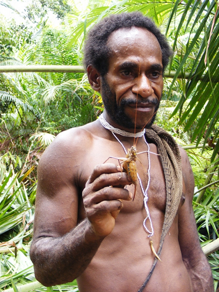 ���������ճ�ʳ�ﶼ�Ӵ������Ե�