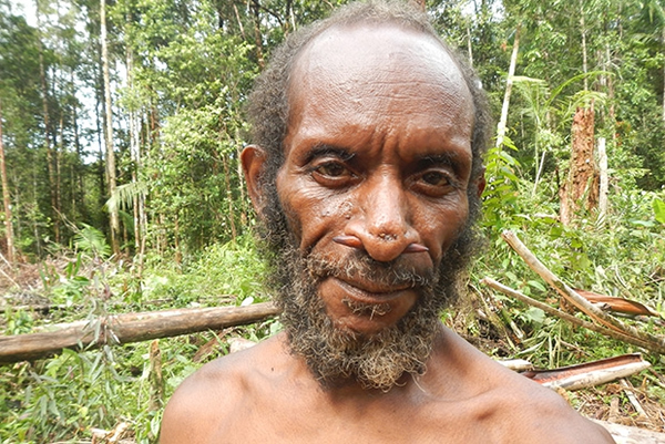 �����е�����������Ĺ�ͷװ���Լ���