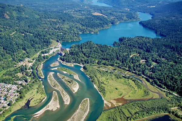 加拿大一对夫妇在丛林徒步时拍摄到传说中的“大脚野人”视频