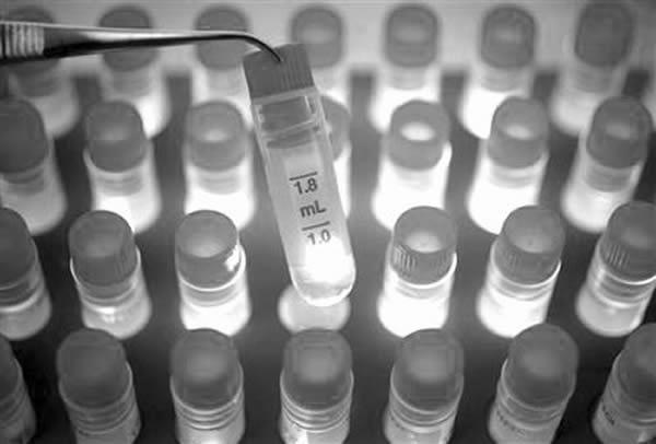 日本政府目前正在积极推进iPS 细胞的治疗事业