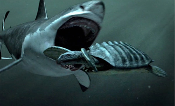 探索频道纪录片“巨齿鲨:怪物鲨鱼还活着”
