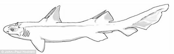 Diablodontus Michaeledmundi复原图