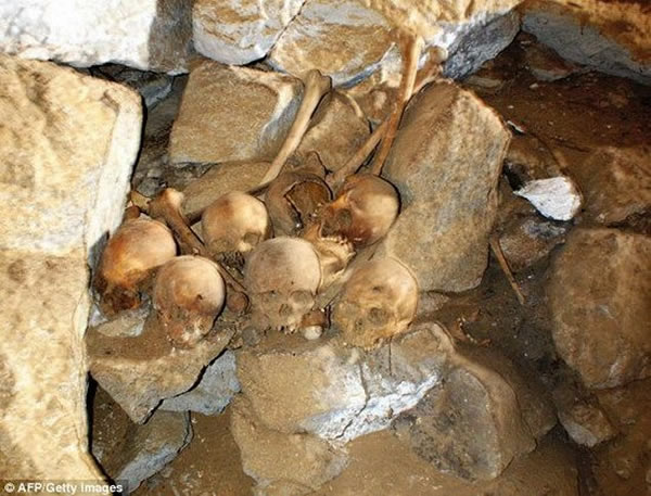 放射性碳测定和研究远古DNA样本,将揭晓他们是美洲最早的基因血统之一