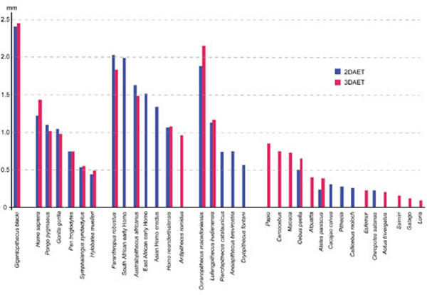 巨猿与其他现生及化石灵长类牙齿平均釉质厚度比较(张立召供图)