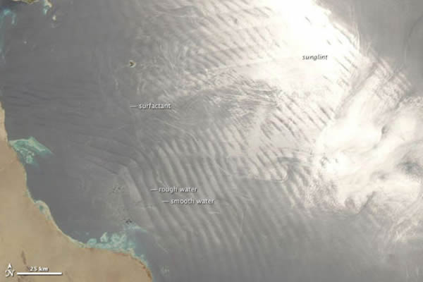 红海海域:由于海面将太阳光反射至卫星传感器,海面看起来像一面银色的镜子