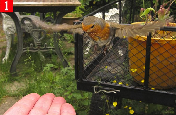 Ӣ�����ӳɹ�ѵ��֪�������������ʳ