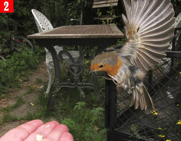 Ӣ�����ӳɹ�ѵ��֪�������������ʳ