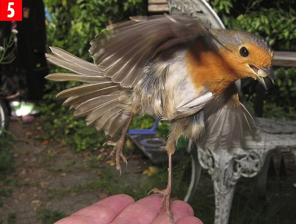 Ӣ�����ӳɹ�ѵ��֪�������������ʳ