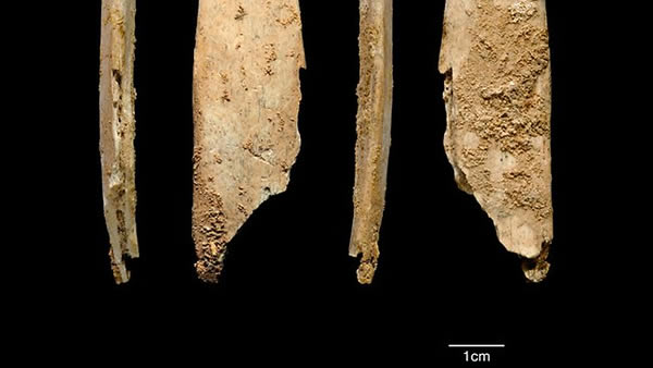 �ᰲ��������ַ����ŷ������ϵ�ר�ù���