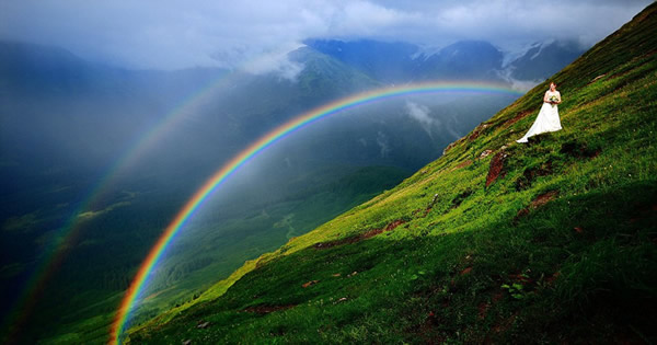 ������ɽ���Ļ�ɴ��˫�ʺ�����