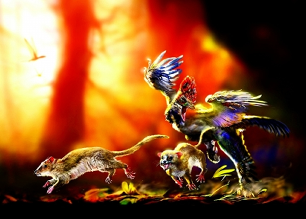 和皱纹齿兽生活在同期的近鸟龙在追捕皱纹齿兽