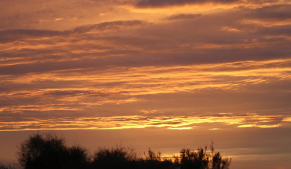 �½������Ͽվ��֡������ơ����