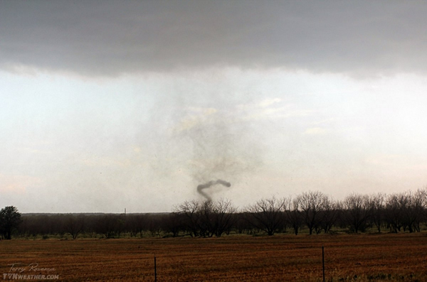 ������ä���籩���ˡ���׽����׳�۷籩��Ƭ