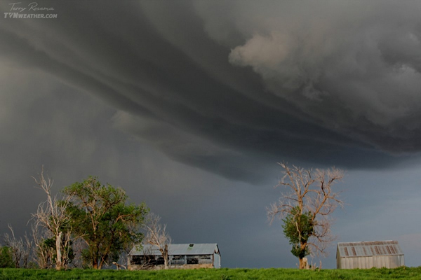 ������ä���籩���ˡ���׽����׳�۷籩��Ƭ