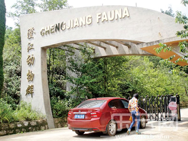 游客参观动物群化石馆,但只能徒步进入。