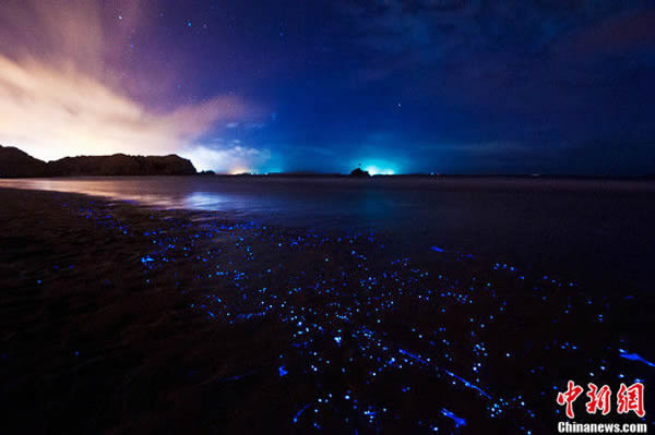 ����ƽ̶̳����ɳ̲�������������