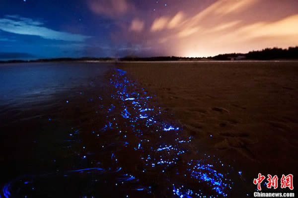 ����ƽ̶̳����ɳ̲�������������